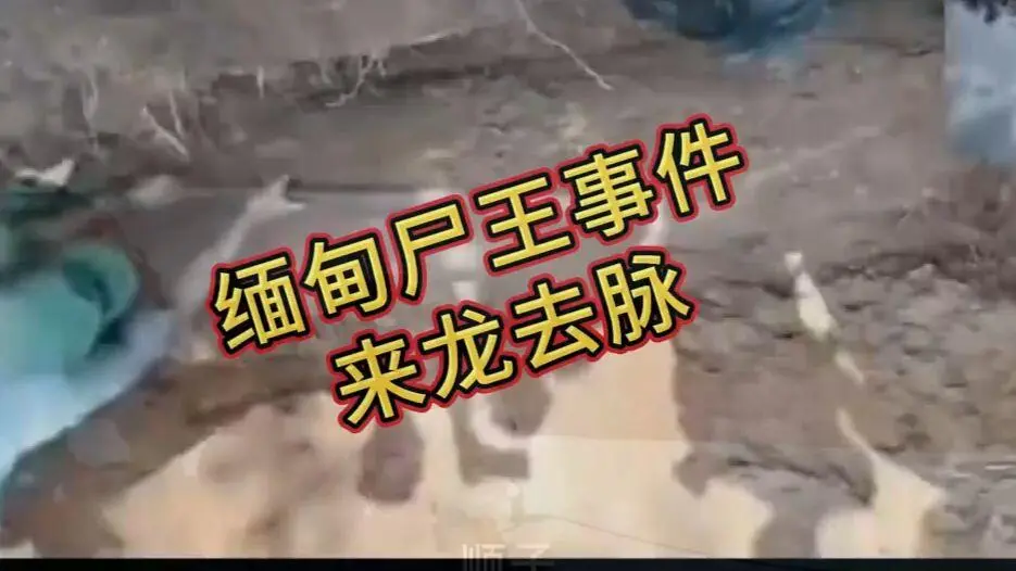 《缅甸僵尸出土事件视频》完整版资源下载-在线观看免费播放高清未删减-缅北僵尸出土事件始末原视频全集